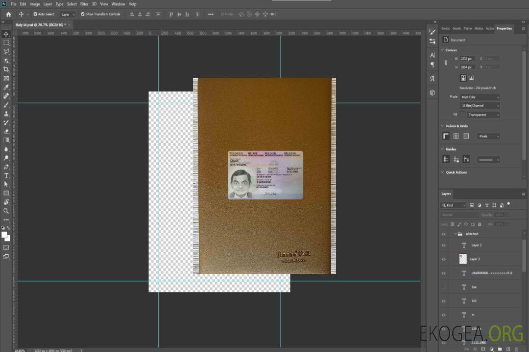 Carte de séjour belge, 2021-présent photolook DEVANT template